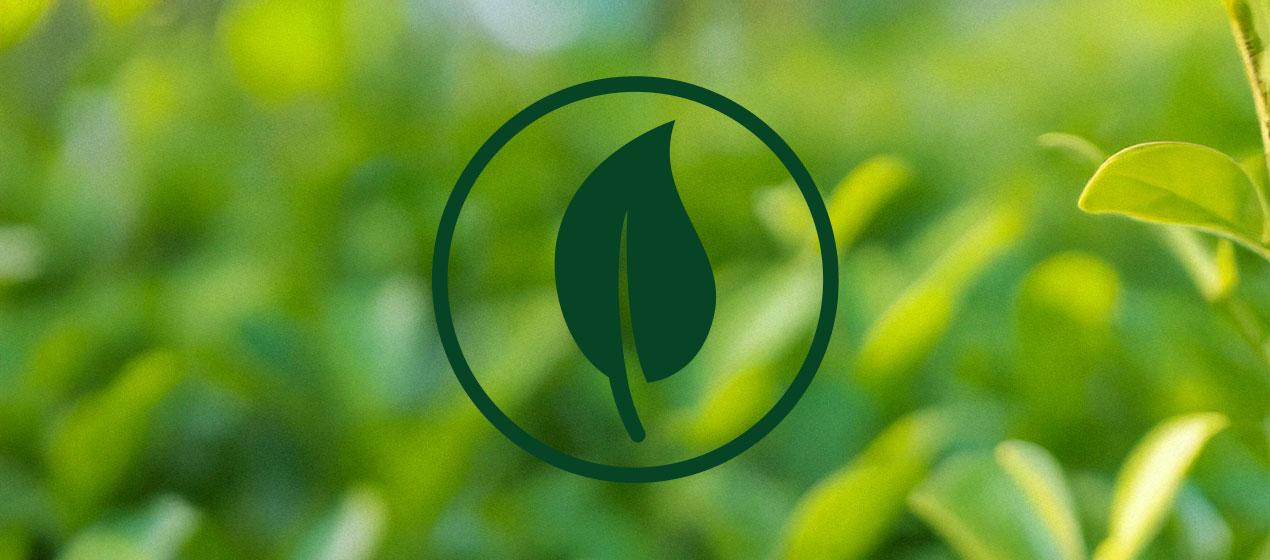 Ambiental Ambiental