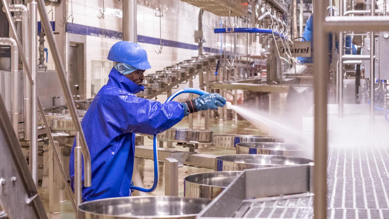 Limpeza manual da imagem Limpeza manual da imagem