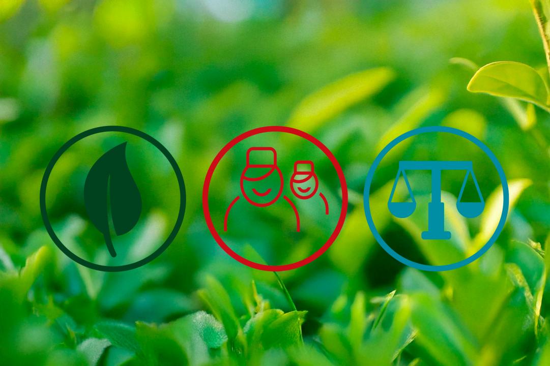 Sustentabilidade Sustentabilidade